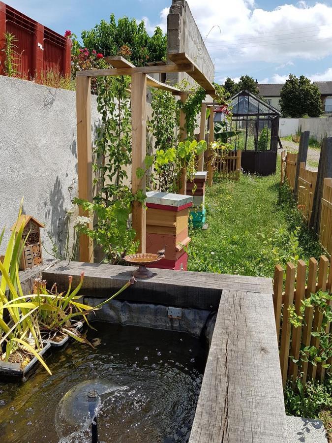 Angers Green Lodge - Cosy Studio Exterior foto